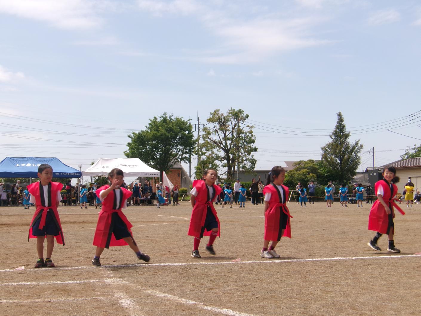 100_0348 100_0348