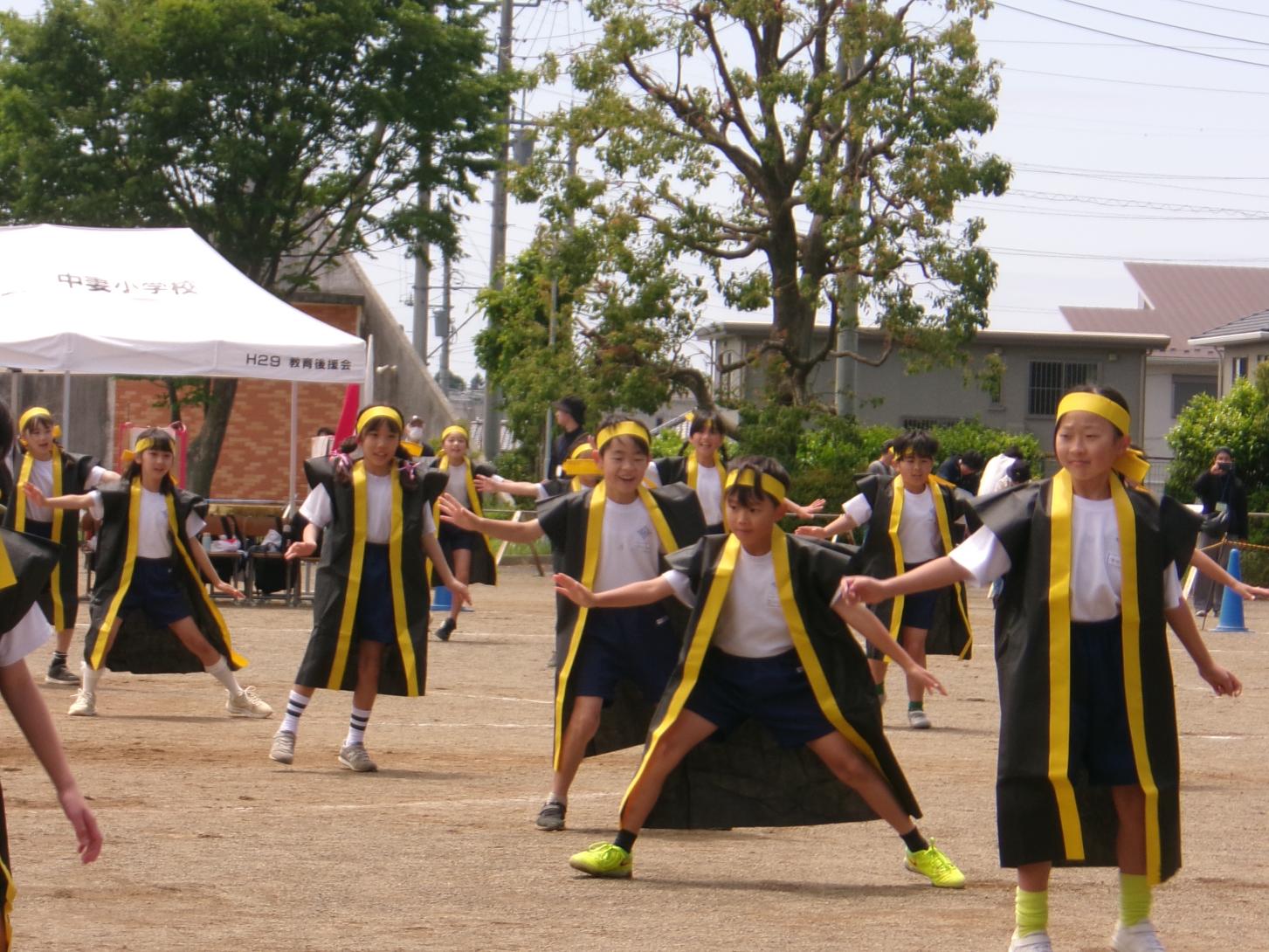 100_0356 100_0356