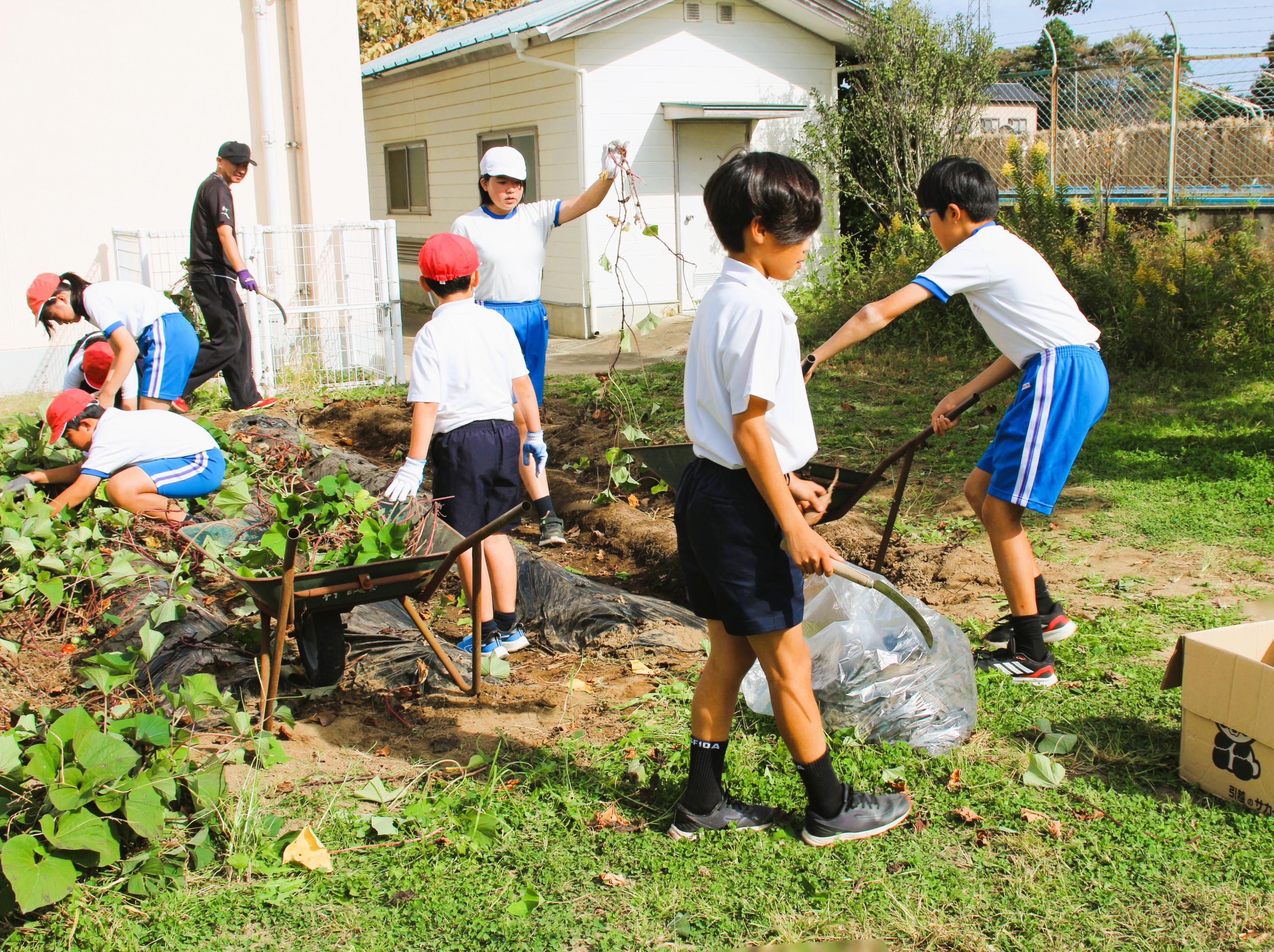 IMG_6125