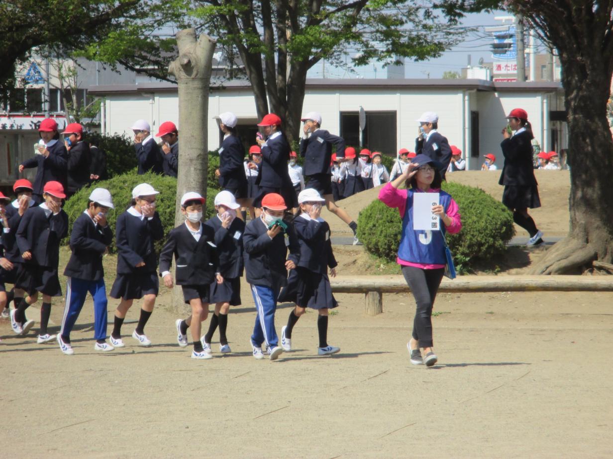 IMG_5768 IMG_5768