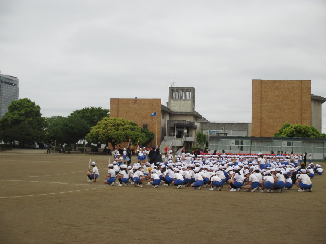 全体の風景 全体の風景