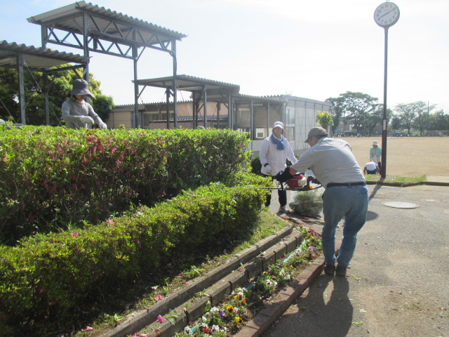 剪定作業 剪定作業