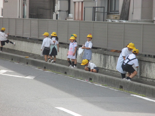 IMG_6042 IMG_6042