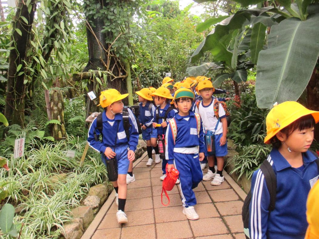 植物園 植物園
