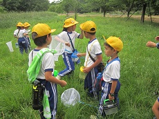 IMG_1890 IMG_1890