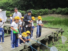 IMG_1899 IMG_1899