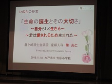 IMG_3531 IMG_3531