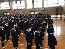 IMG_3239 IMG_3239