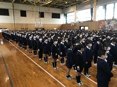 IMG_3240 IMG_3240