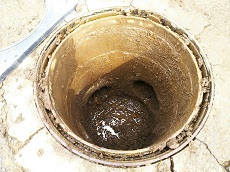 IMG_3999 IMG_3999