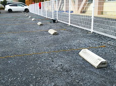 IMG_4002 IMG_4002