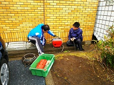 IMG_4003 IMG_4003