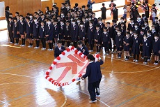 IMG_3919 IMG_3919