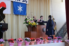 IMG_3971 IMG_3971
