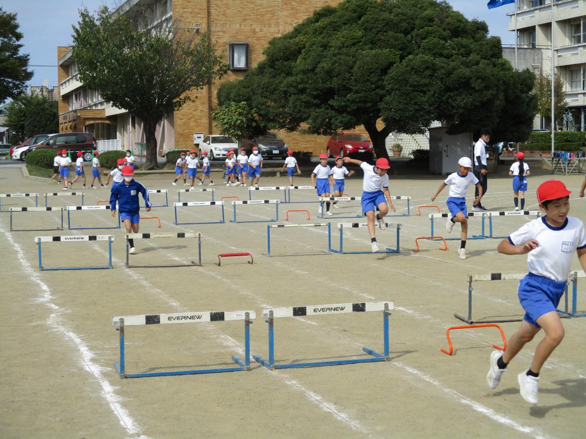 IMG_0475 IMG_0475