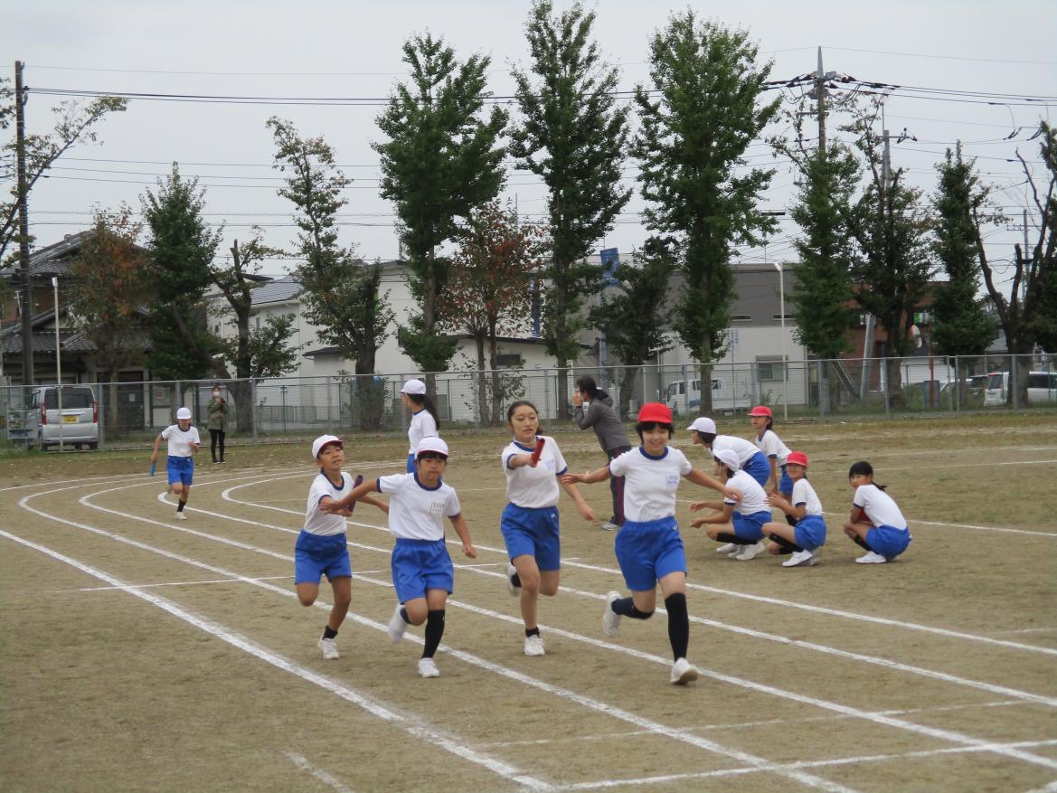 IMG_0540 IMG_0540