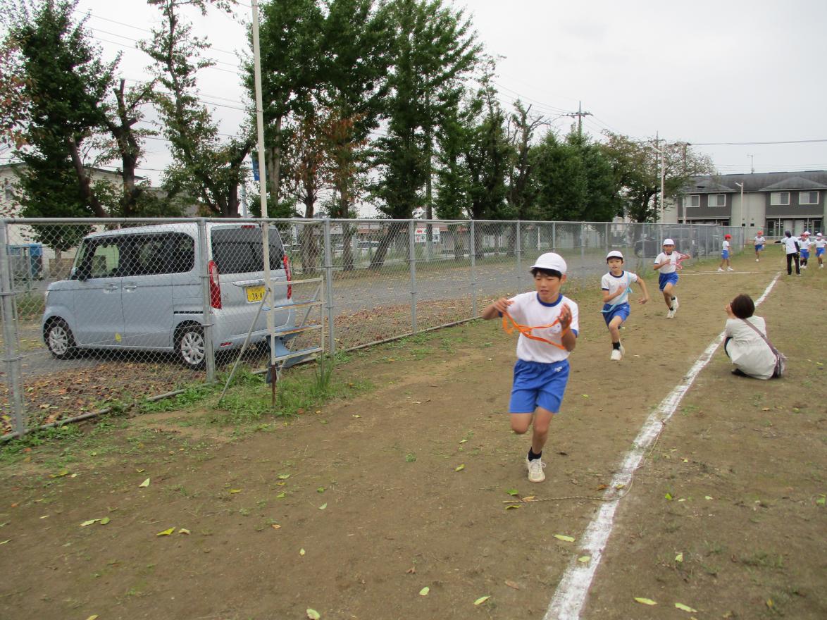 IMG_0553 IMG_0553