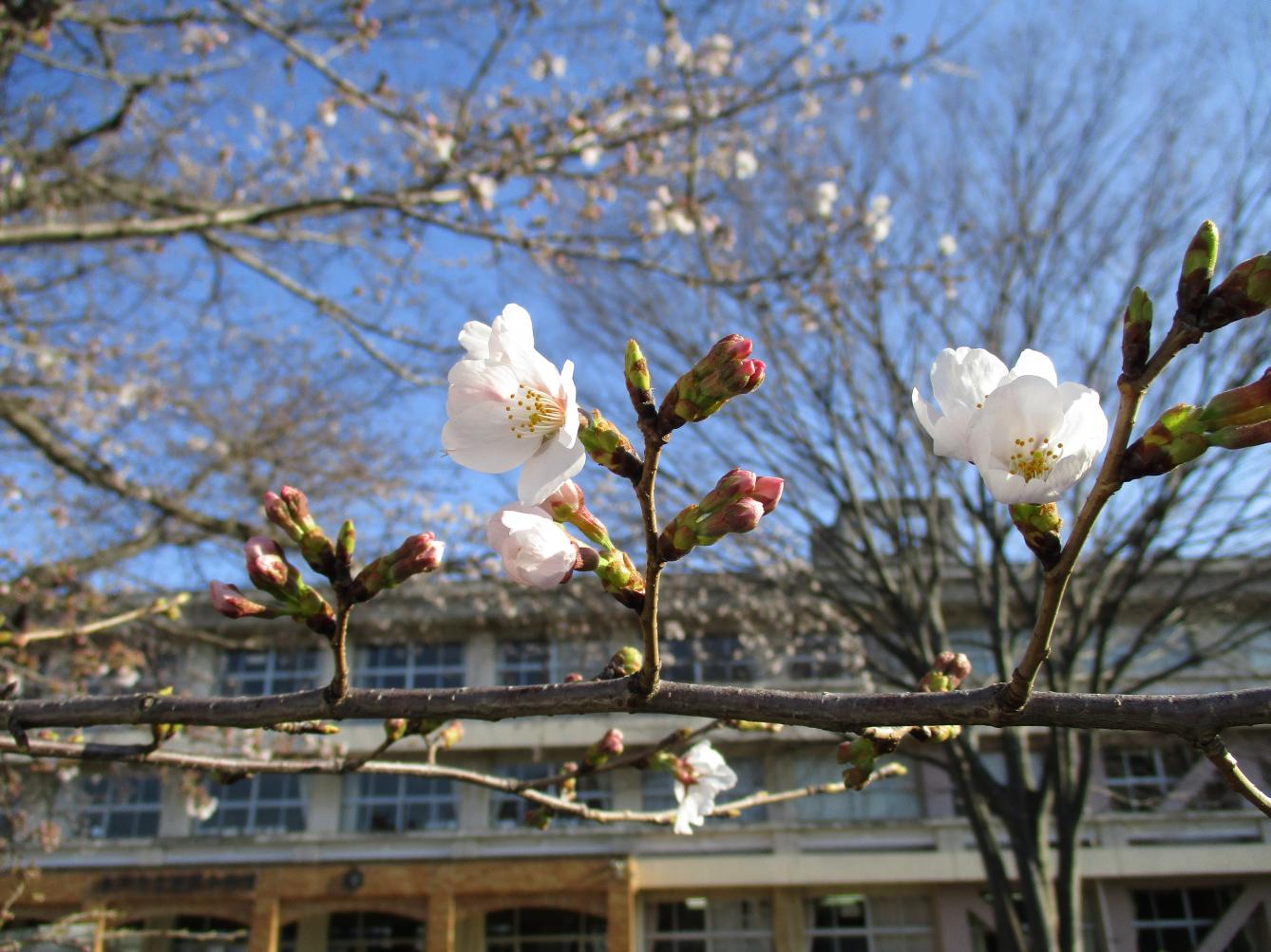 IMG_0485 IMG_0485