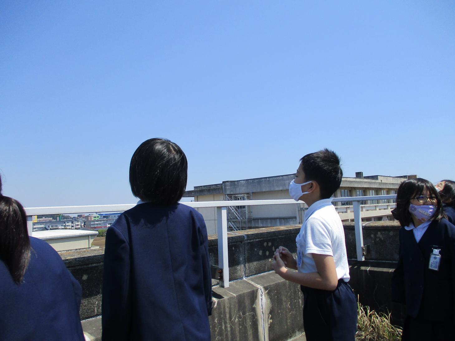 IMG_0870 IMG_0870