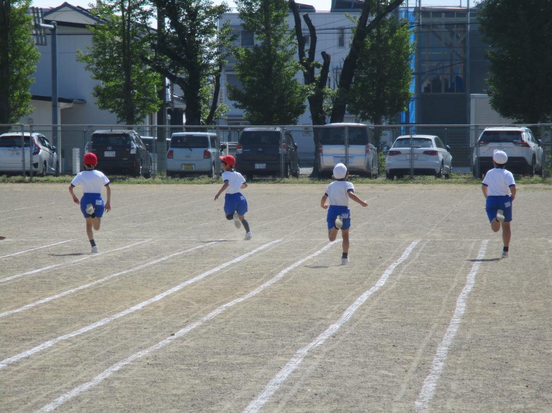 IMG_0855 IMG_0855