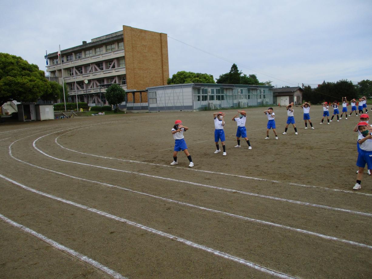 IMG_1131 IMG_1131