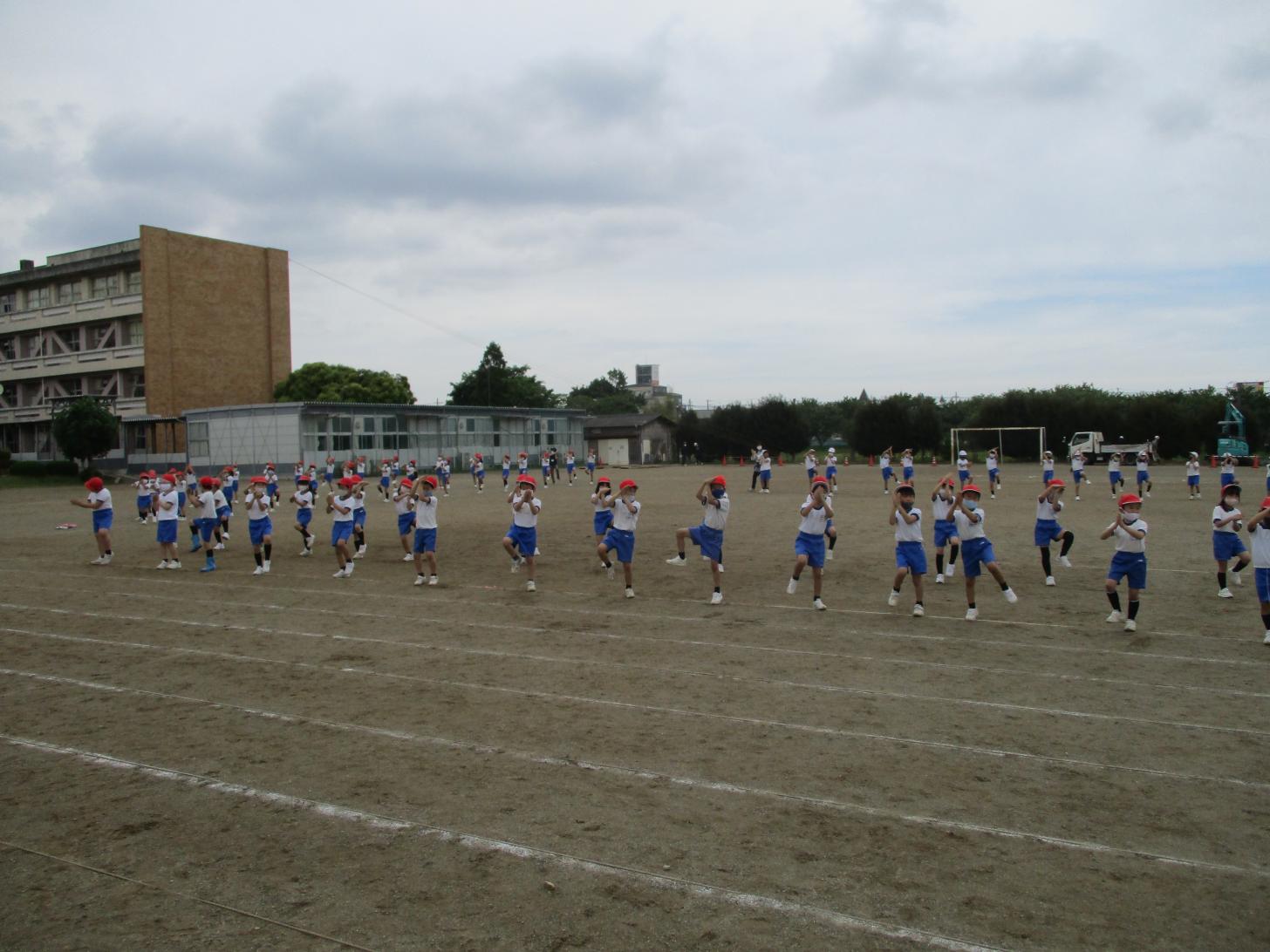 IMG_1154 IMG_1154