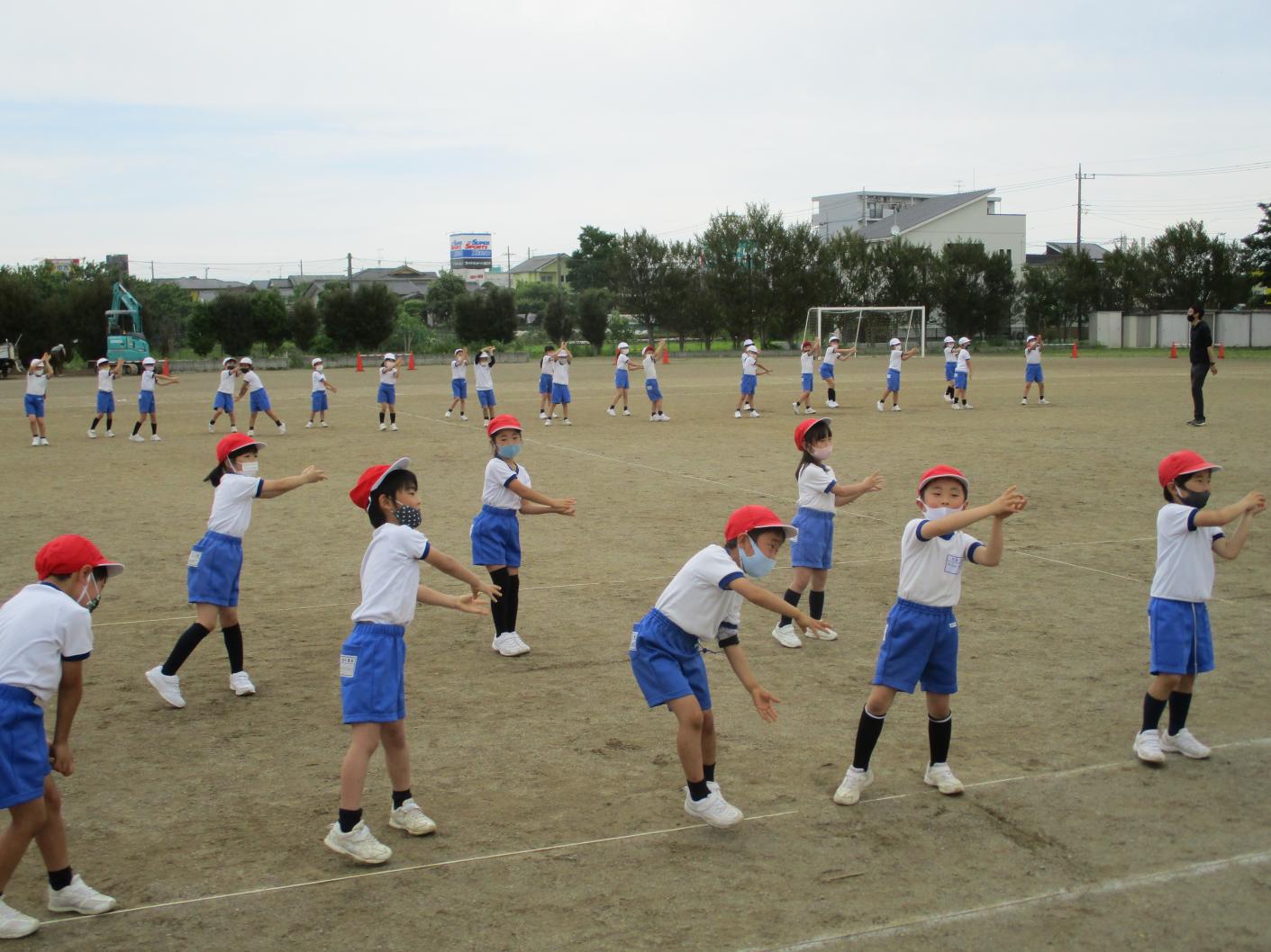 IMG_1157 IMG_1157