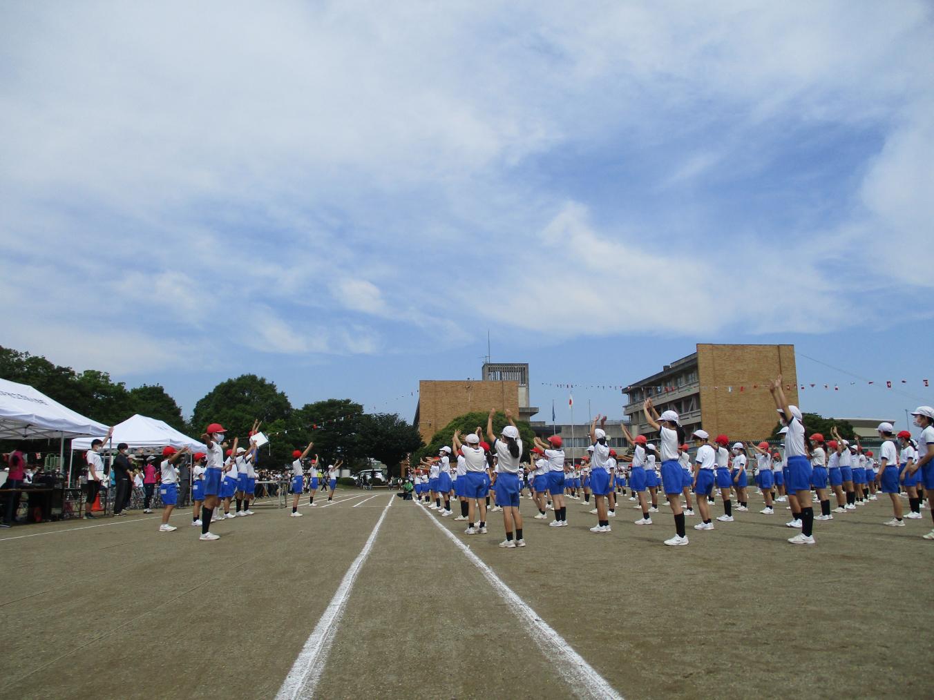 IMG_1245 IMG_1245