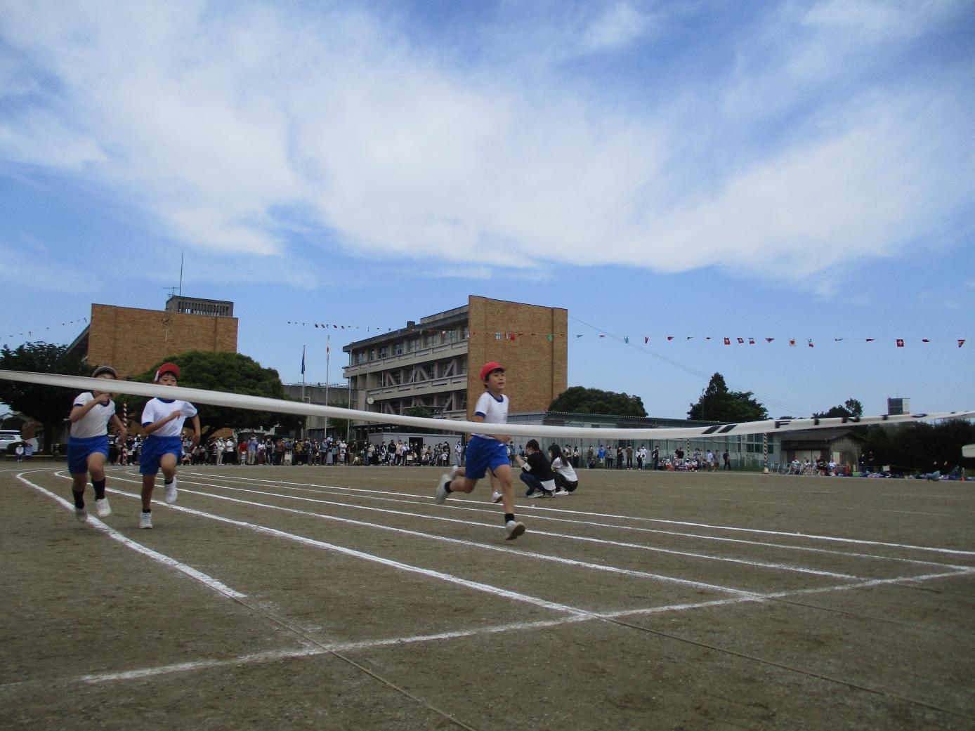 IMG_1255 IMG_1255