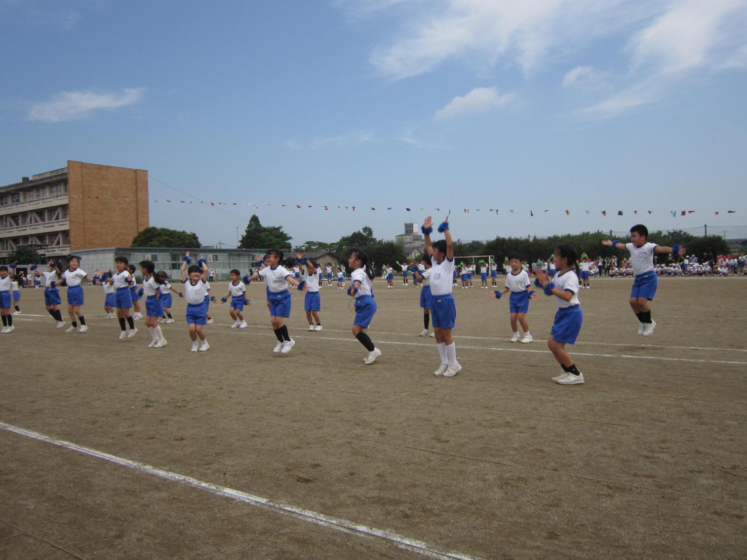 IMG_3253 IMG_3253