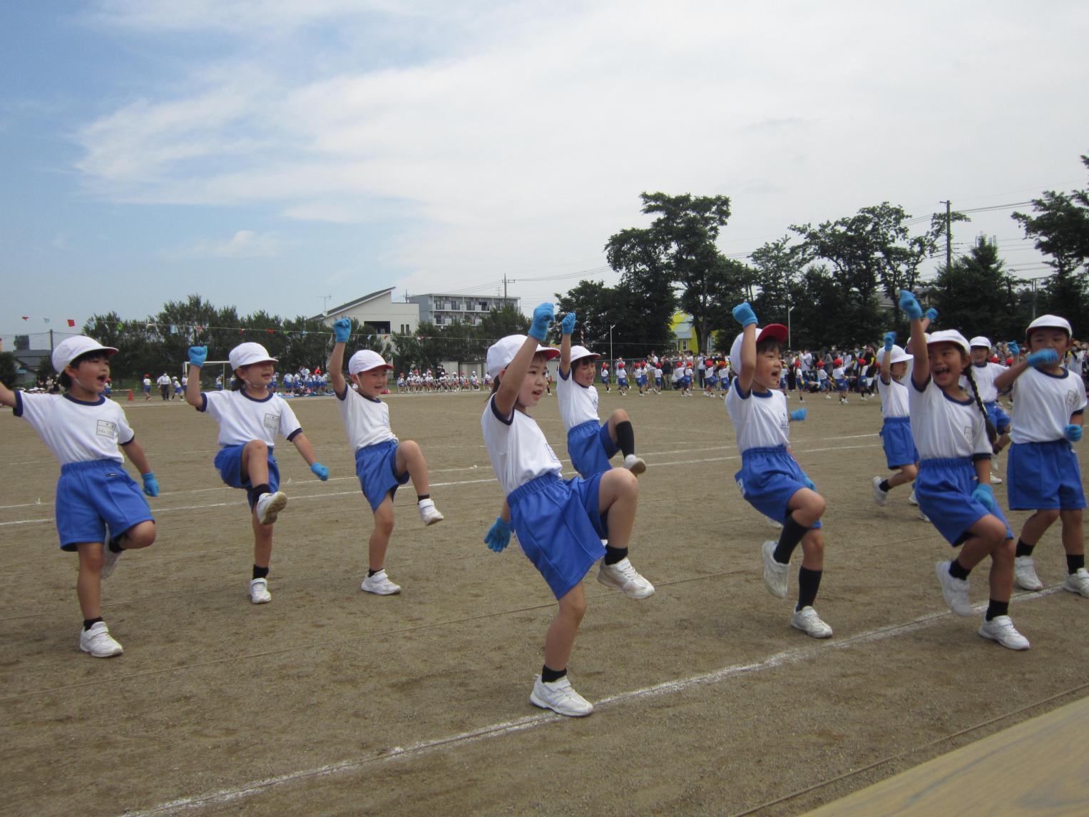IMG_3279 IMG_3279