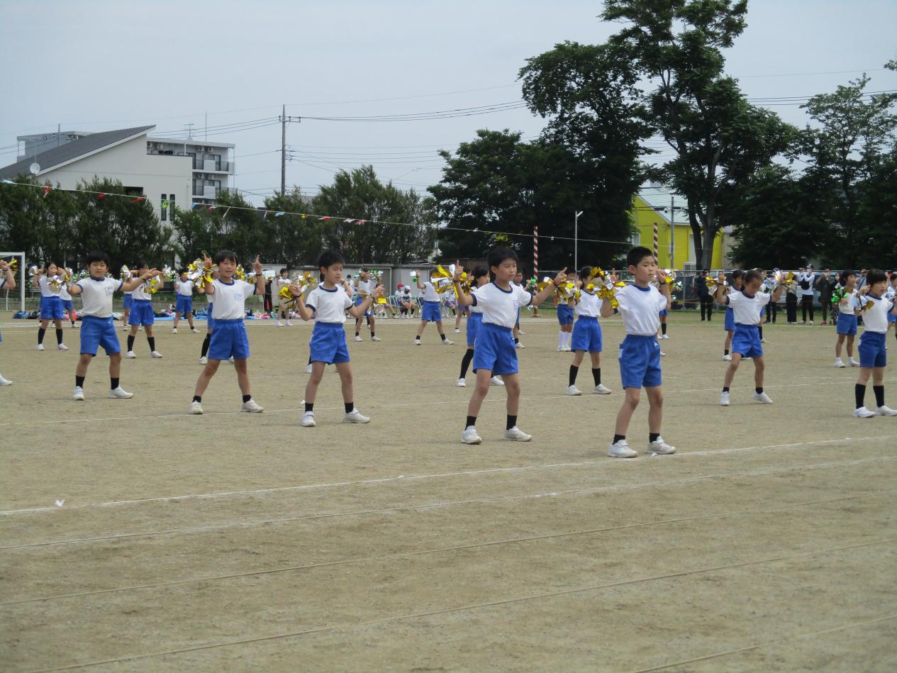 IMG_1300 IMG_1300