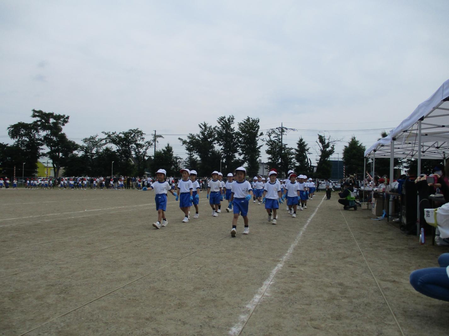 IMG_1309 IMG_1309
