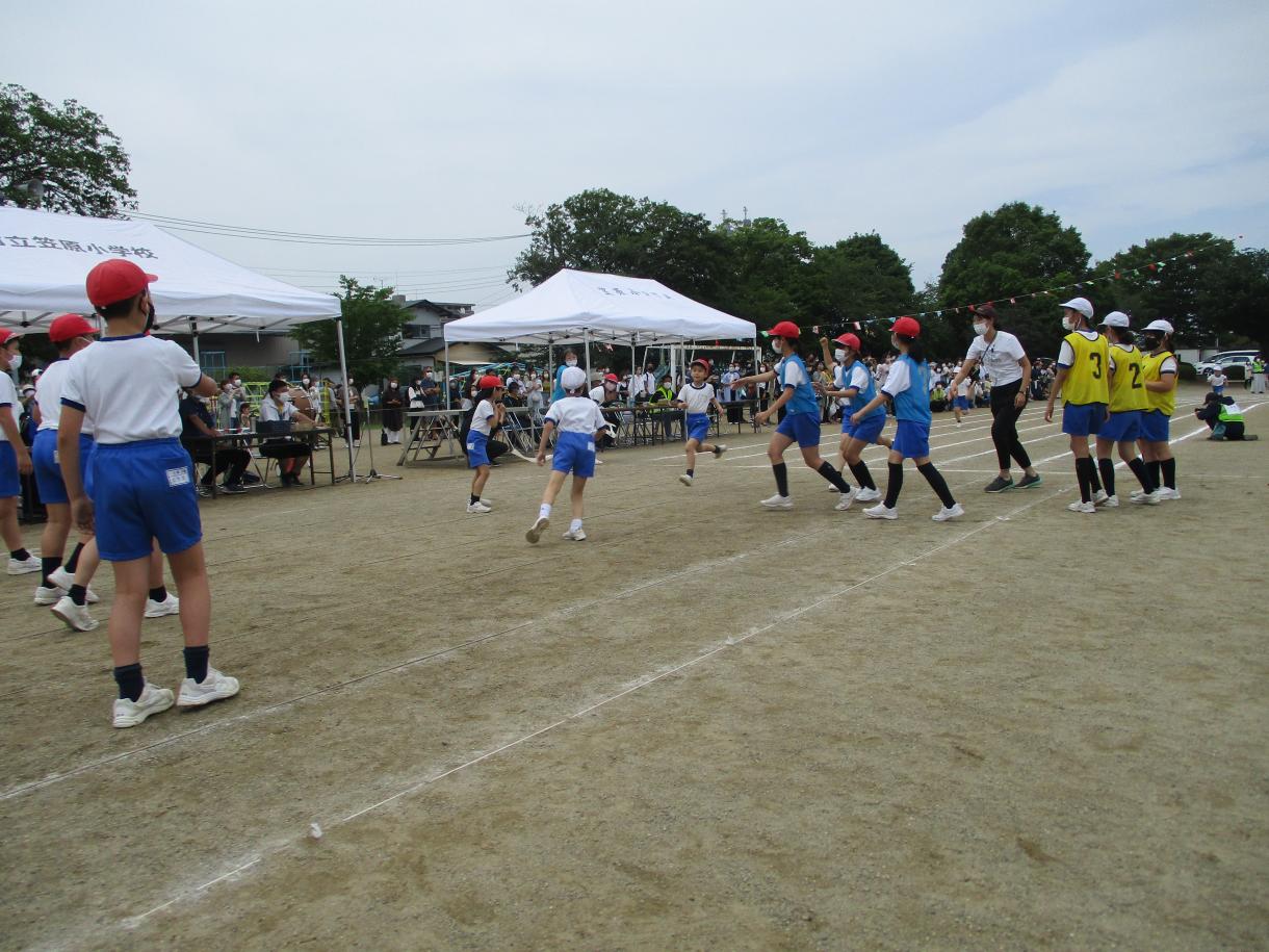 IMG_1326 IMG_1326
