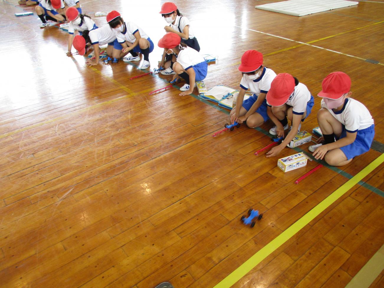 IMG_1532 IMG_1532
