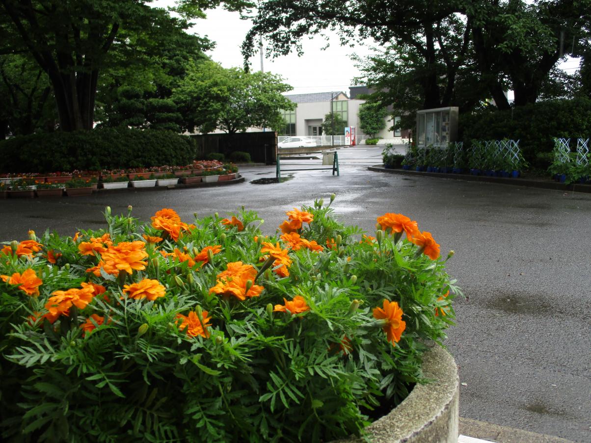 IMG_1612 IMG_1612