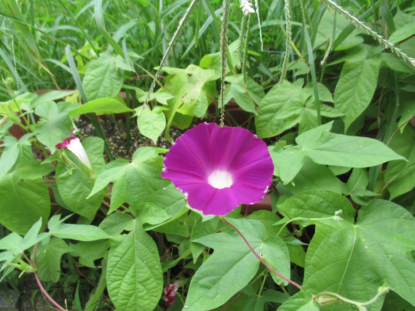 IMG_2865 IMG_2865