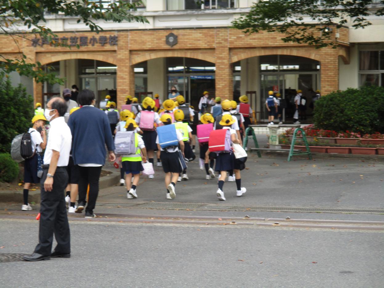 IMG_2086 IMG_2086