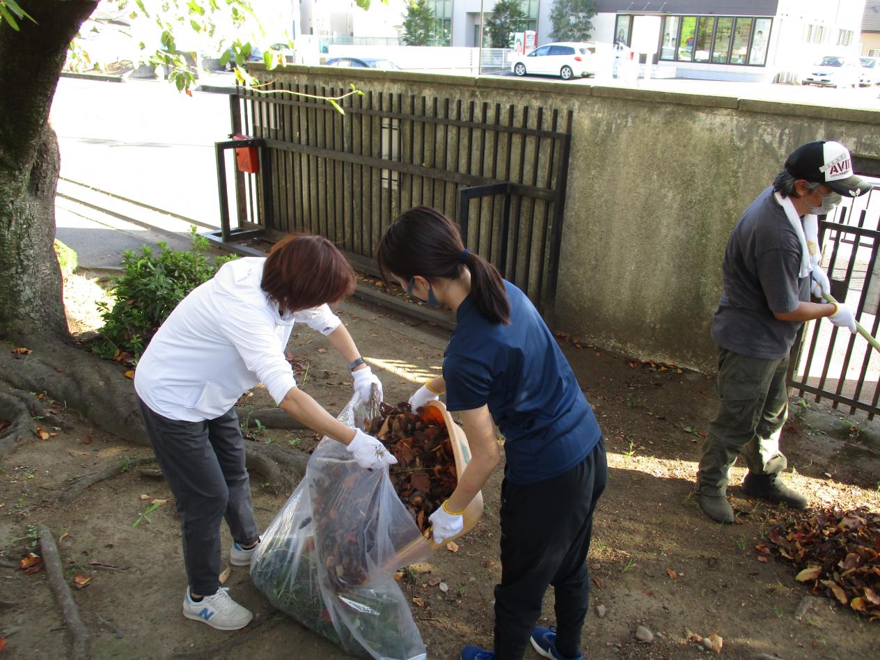 IMG_2232 IMG_2232