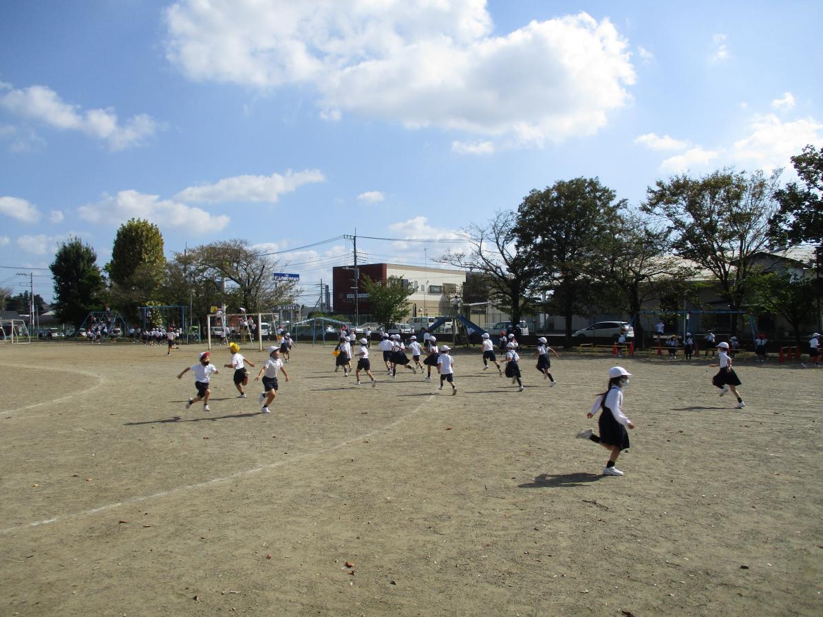 IMG_2295 IMG_2295