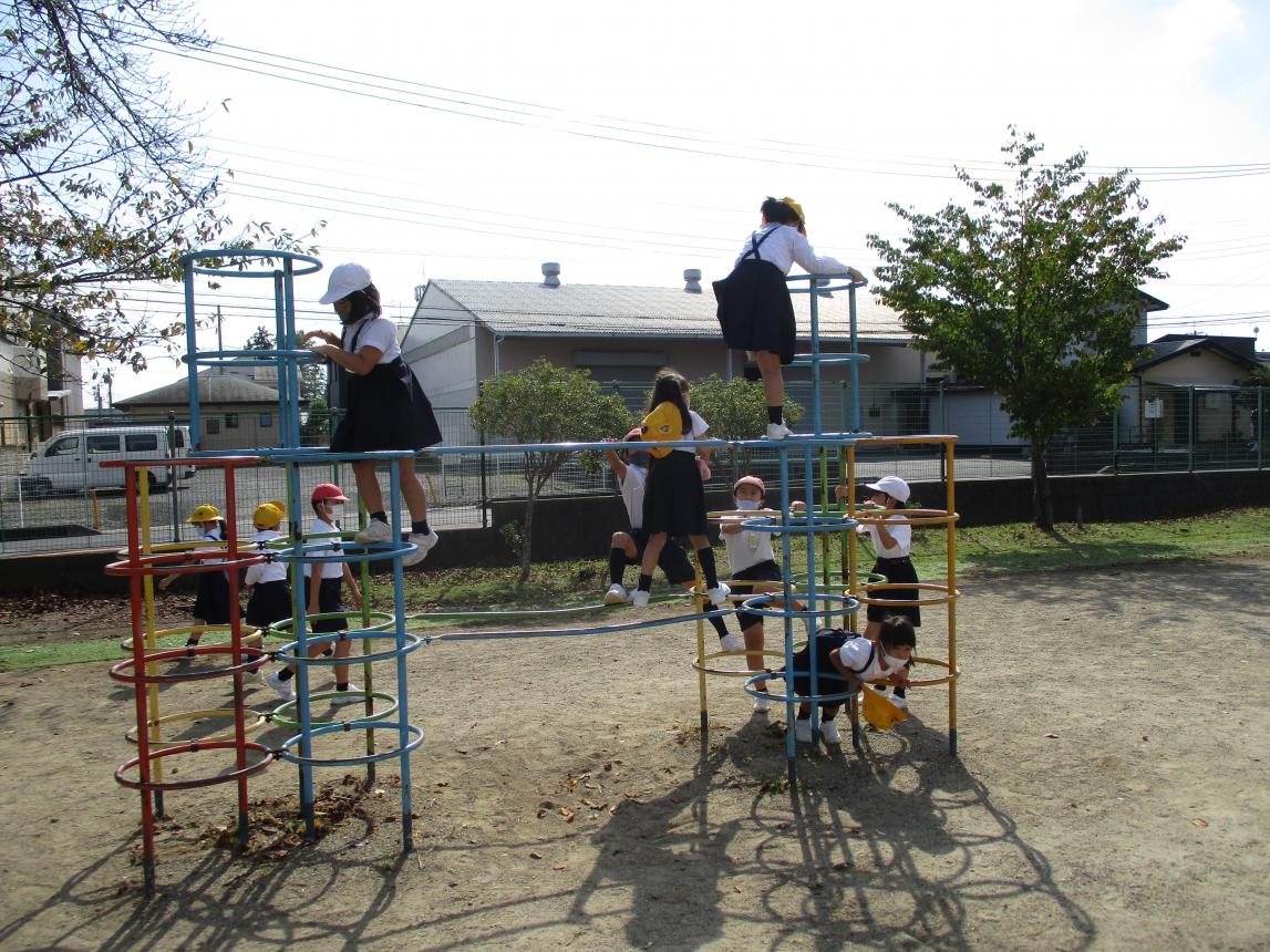 IMG_2305 IMG_2305