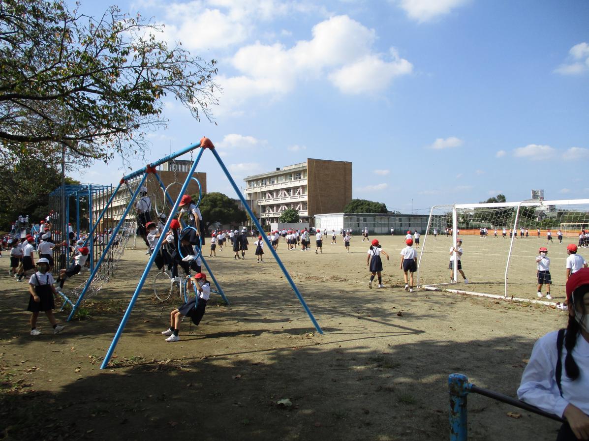 IMG_2307 IMG_2307