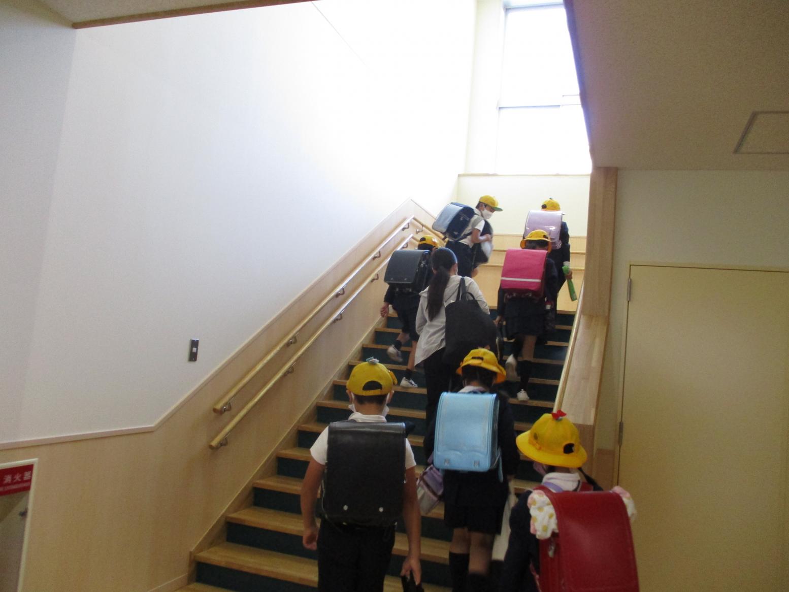 IMG_2418 IMG_2418