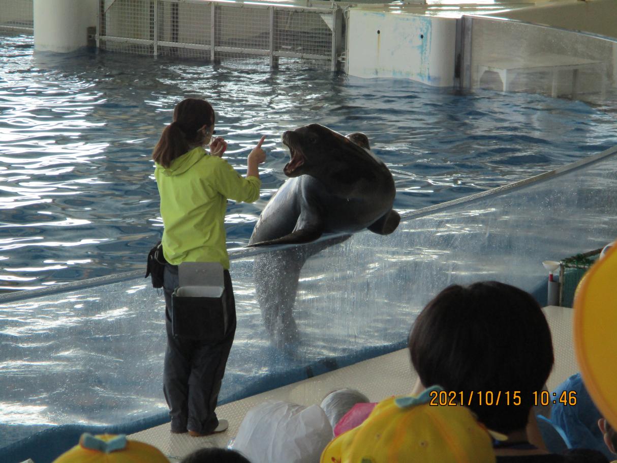 IMG_3234 IMG_3234