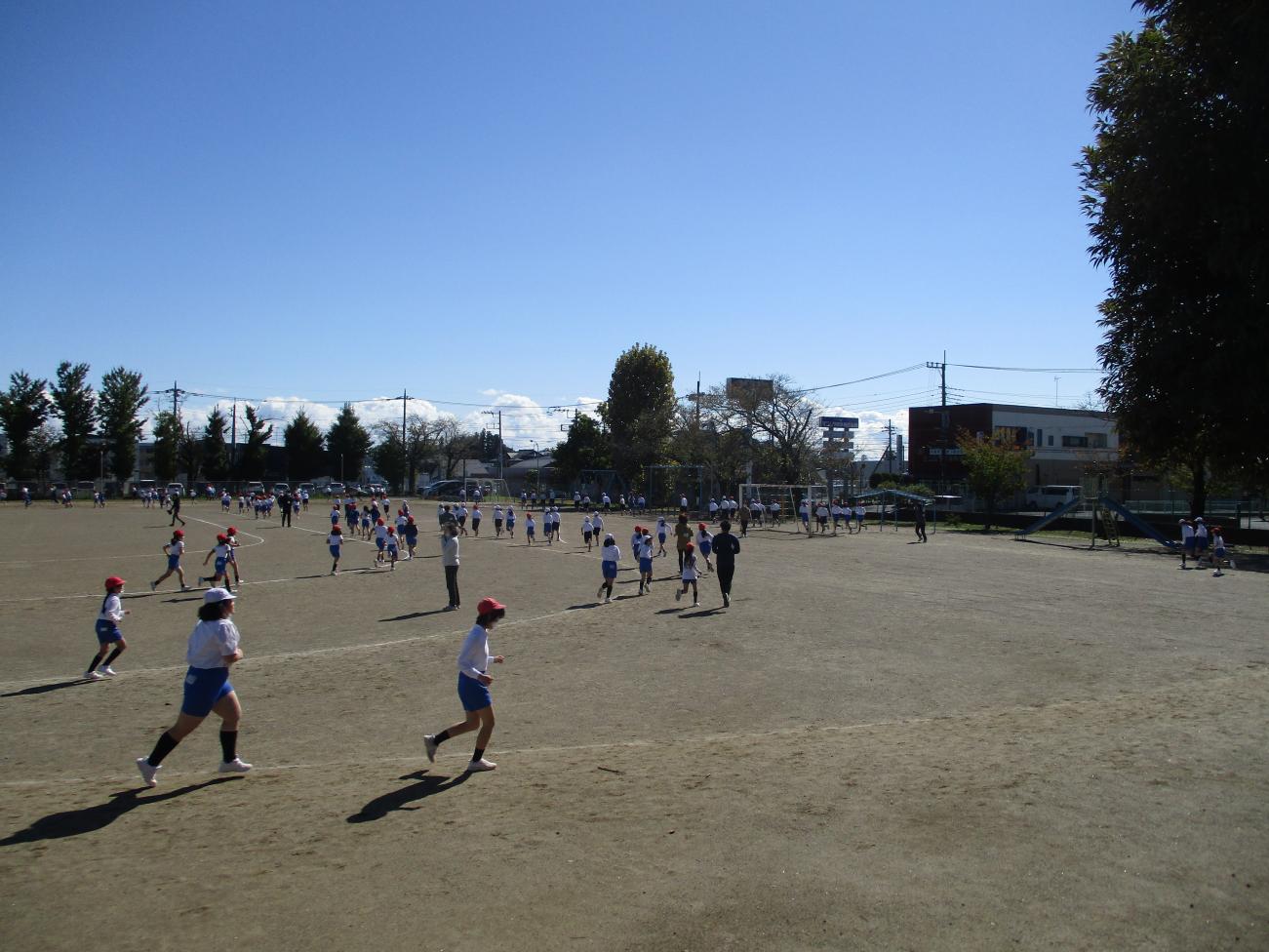 IMG_2451 IMG_2451
