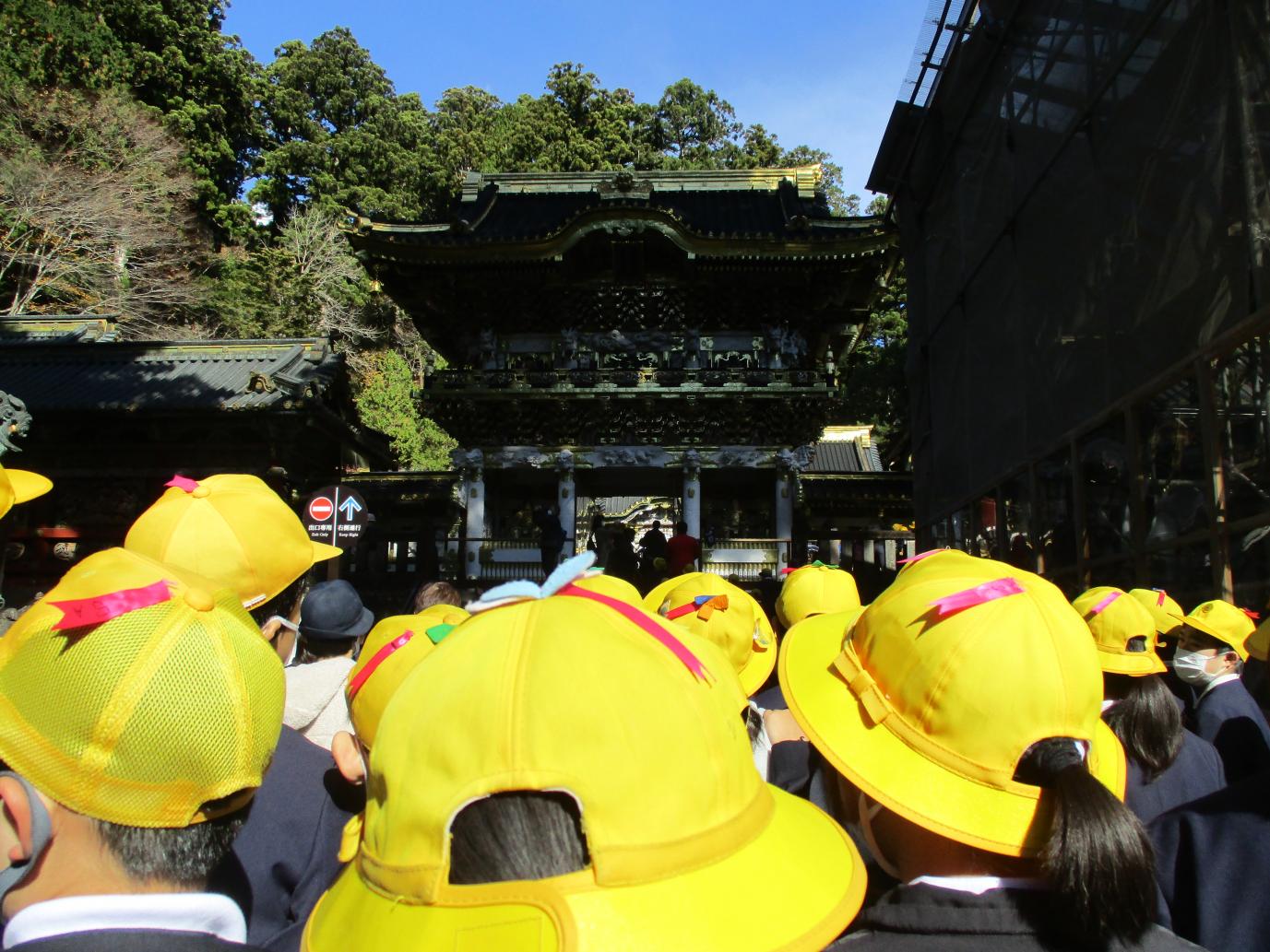 IMG_1707 IMG_1707