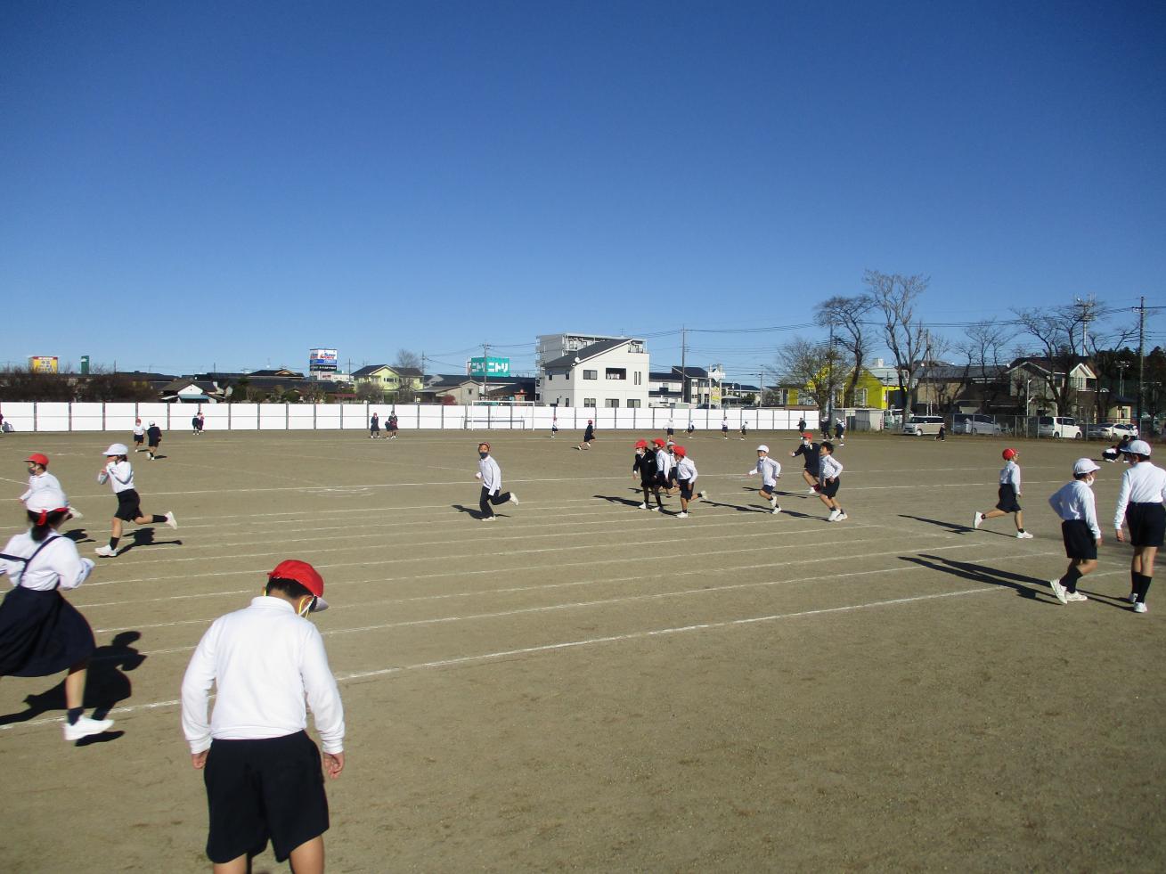 IMG_3239 IMG_3239