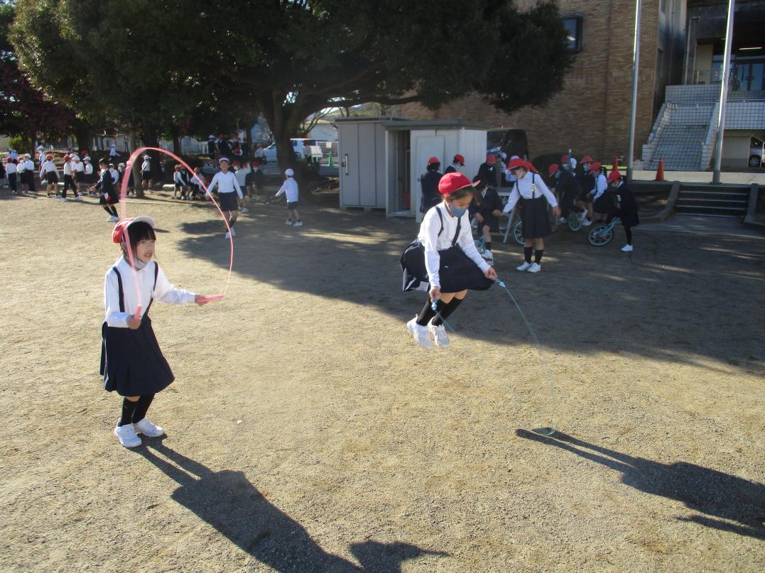 IMG_3252 IMG_3252