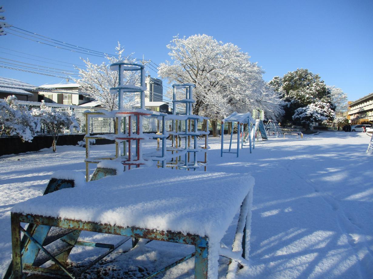 IMG_3373 IMG_3373