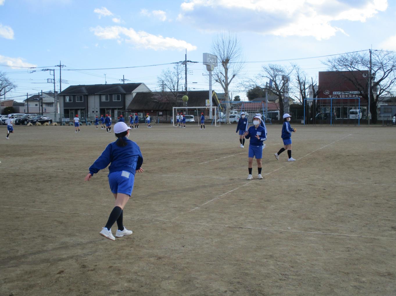 IMG_1950 IMG_1950